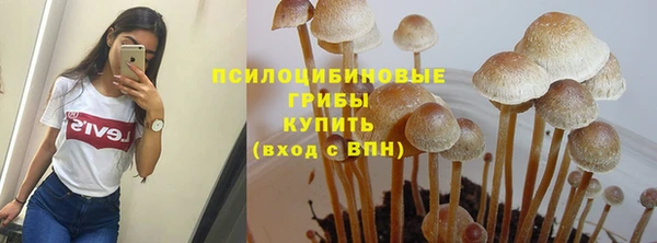 спиды Алзамай