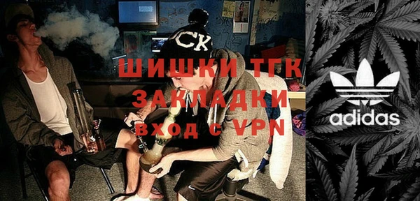 стафф Алексин