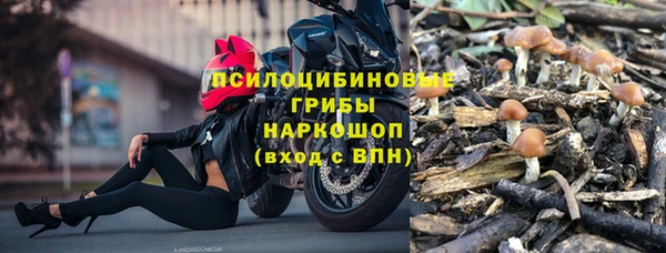стафф Алексин