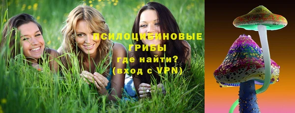 apvp Алексеевка