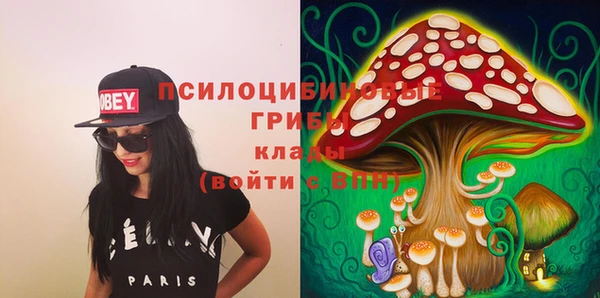 apvp Алексеевка