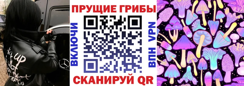 mega ONION  Карачев  Галлюциногенные грибы GOLDEN TEACHER 